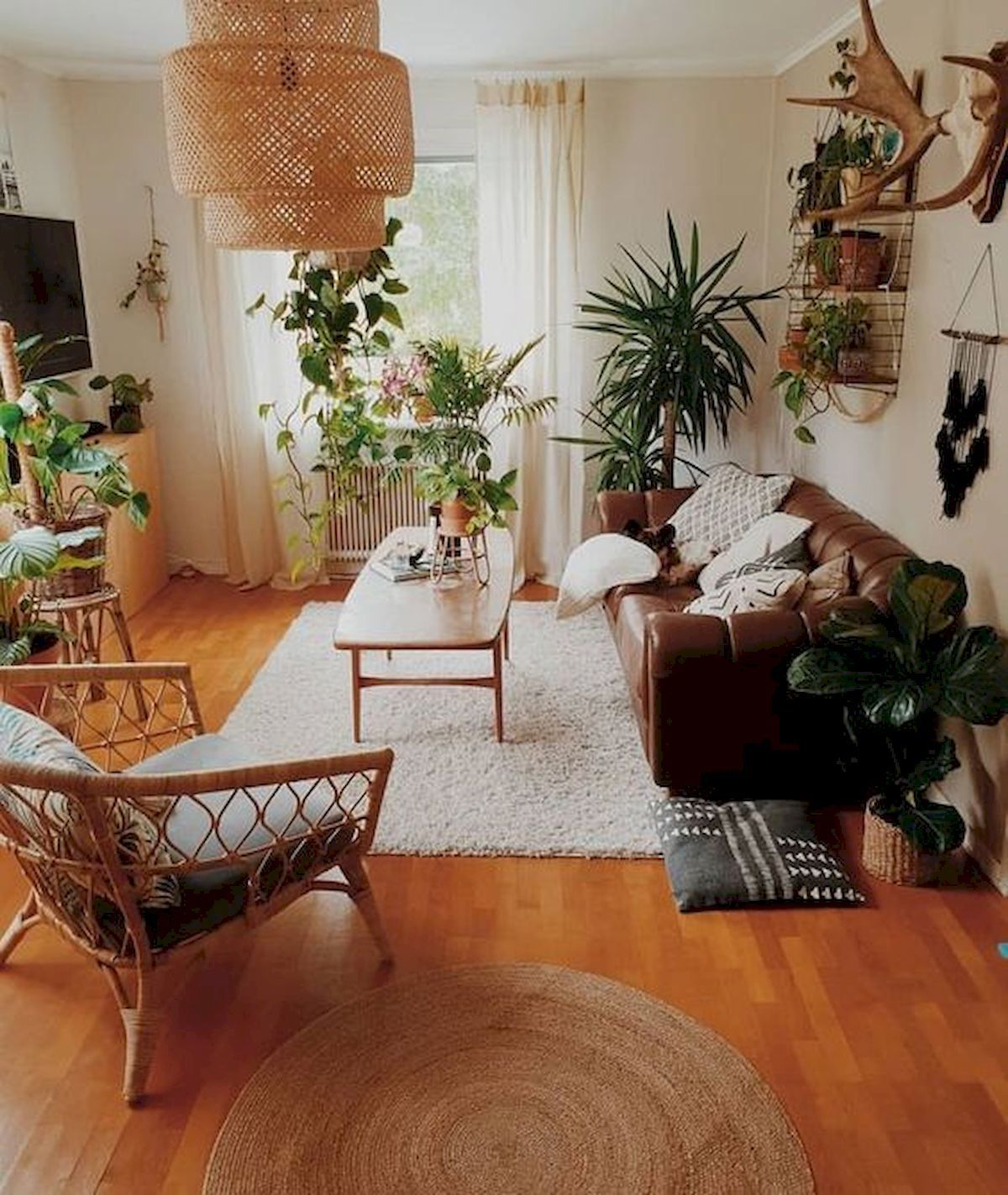 Beautiful Ways To Decorate Indoor Plant in Living Room -   13 plants Beautiful living rooms
 ideas