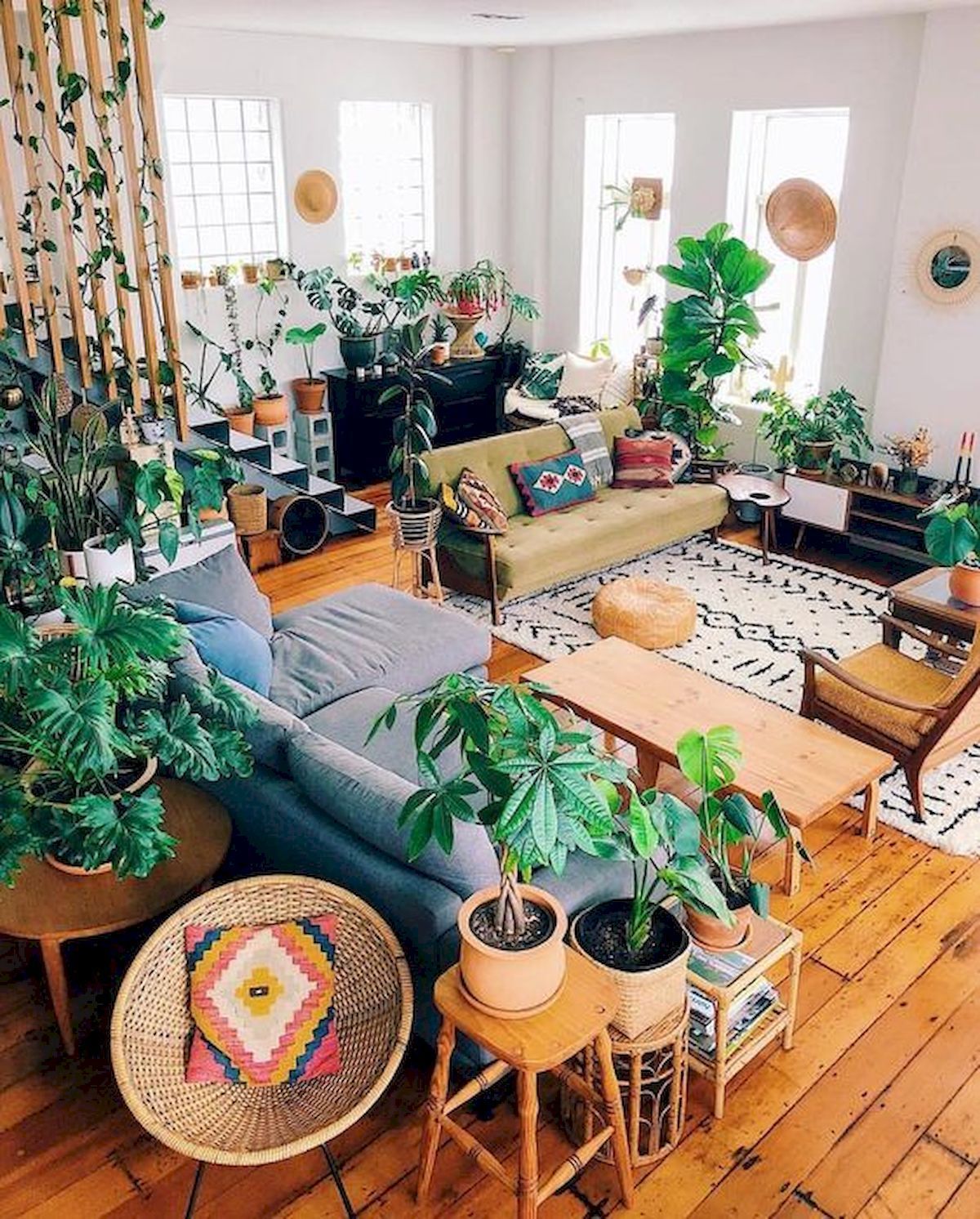 13 plants Beautiful living rooms
 ideas