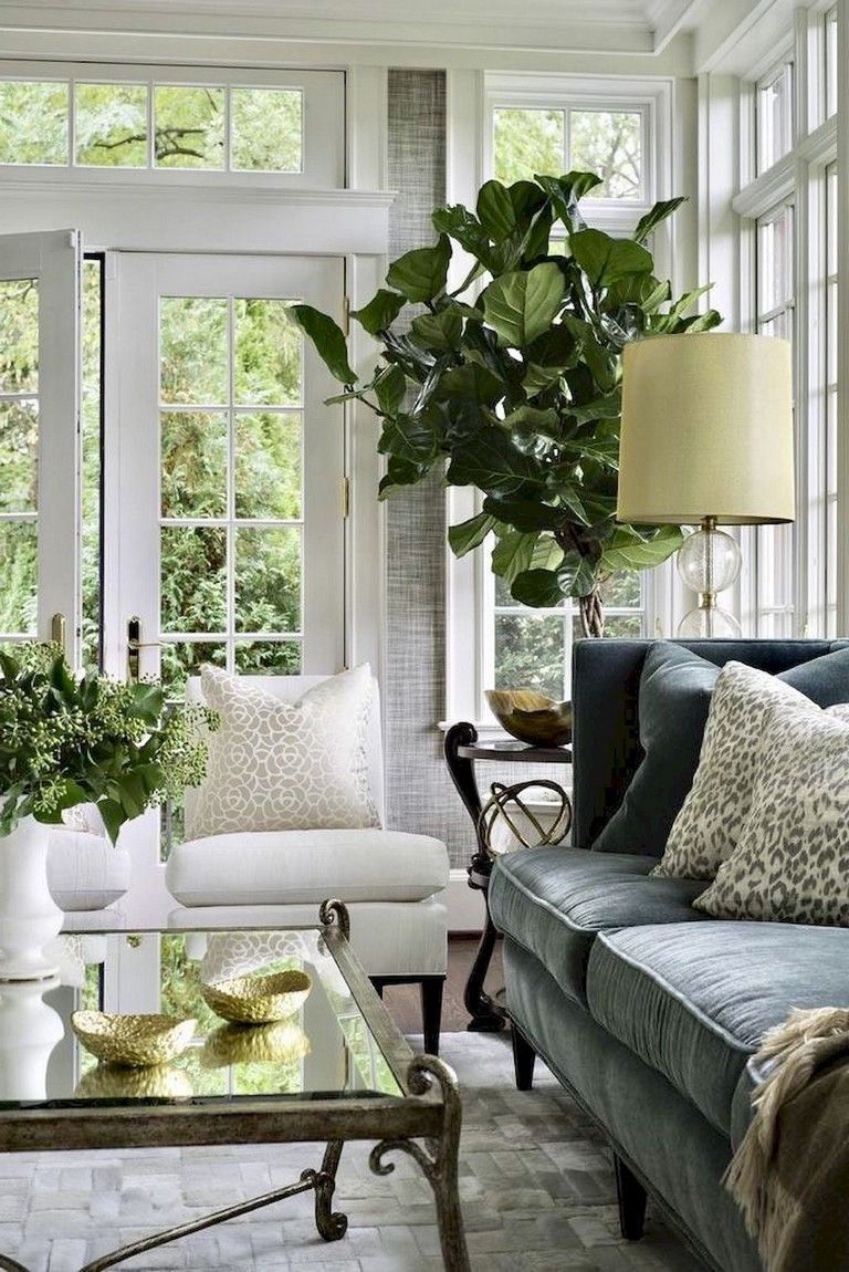 13 plants Beautiful living rooms
 ideas