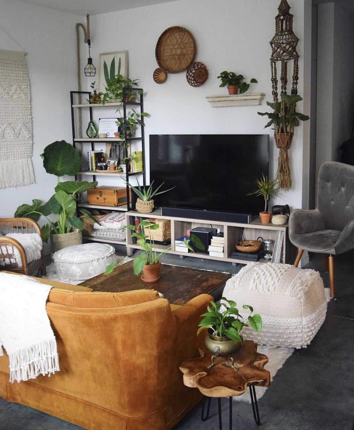 13 plants Beautiful living rooms
 ideas