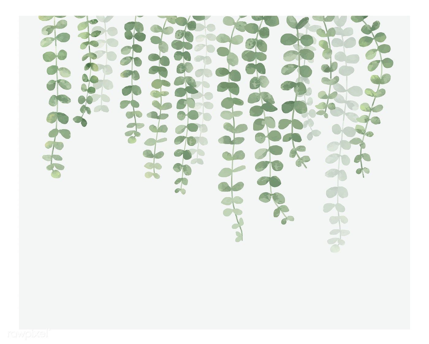 13 plants Illustration beautiful
 ideas