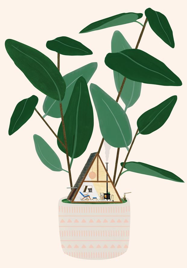 13 plants Illustration beautiful
 ideas