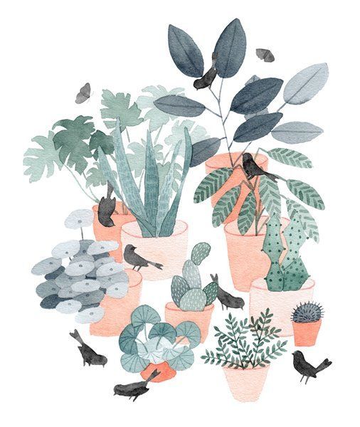 House Plants -   13 plants Illustration beautiful
 ideas