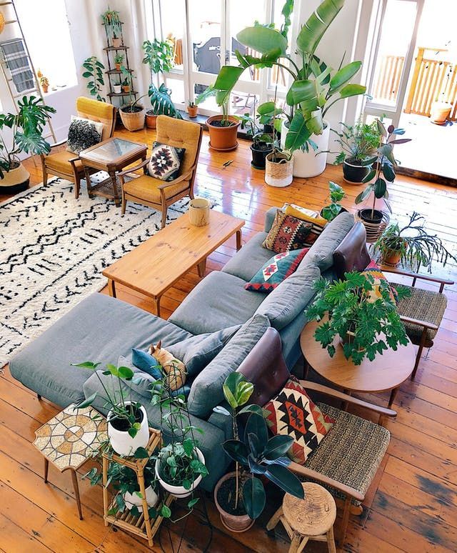 This New Zealand Home in a 1920s Converted Factory Is a Plant Lover’s Dream -   13 plants In Living Room apartment therapy
 ideas