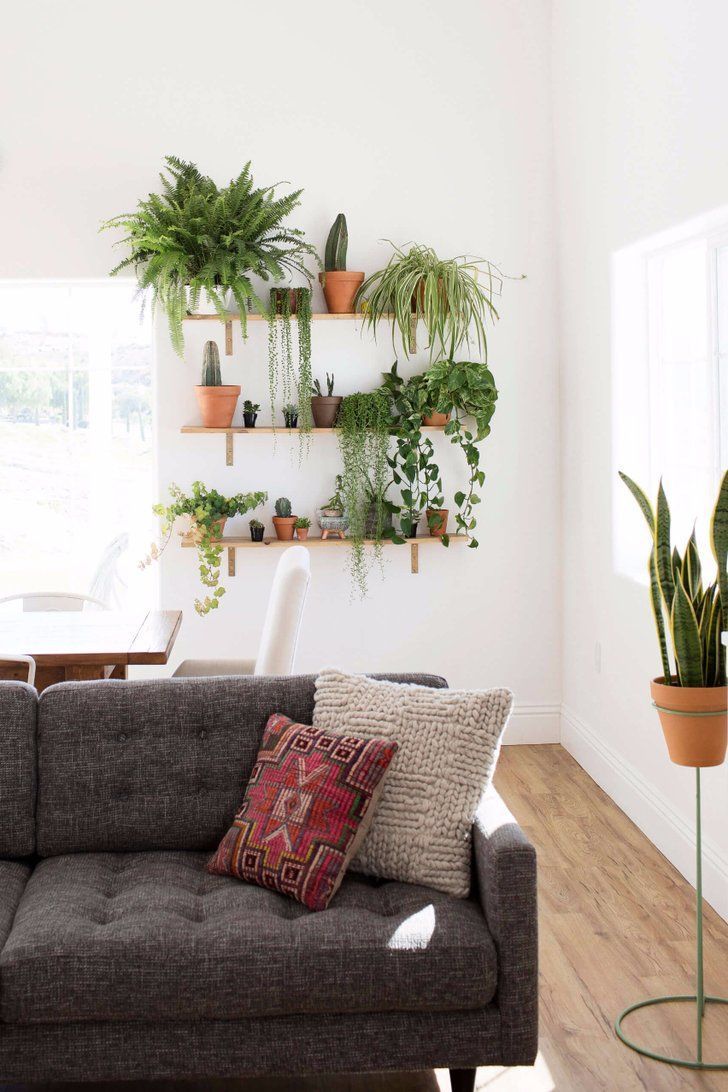 13 plants In Living Room apartment therapy
 ideas