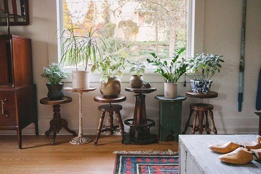 13 plants In Living Room apartment therapy
 ideas