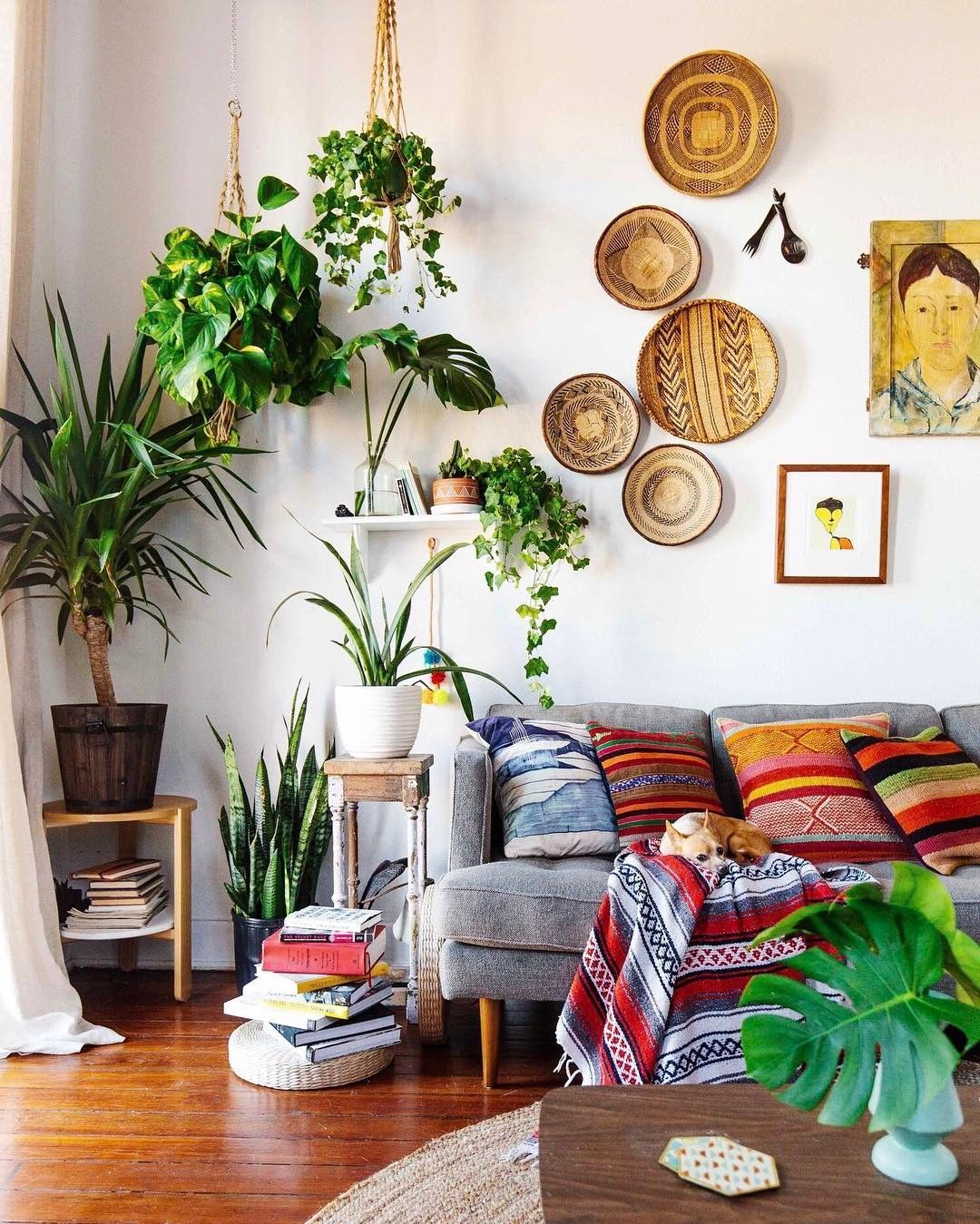 13 plants In Living Room apartment therapy
 ideas