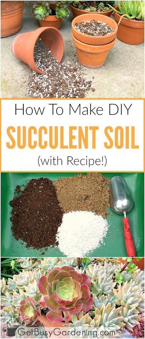 How To Make Your Own Succulent Soil (With Recipe!) -   15 planting succulents cactus
 ideas