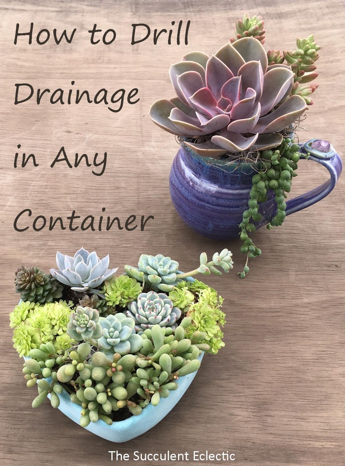 Planting Succulents in Containers Without Drainage? Drill Your Own -   15 planting succulents cactus
 ideas