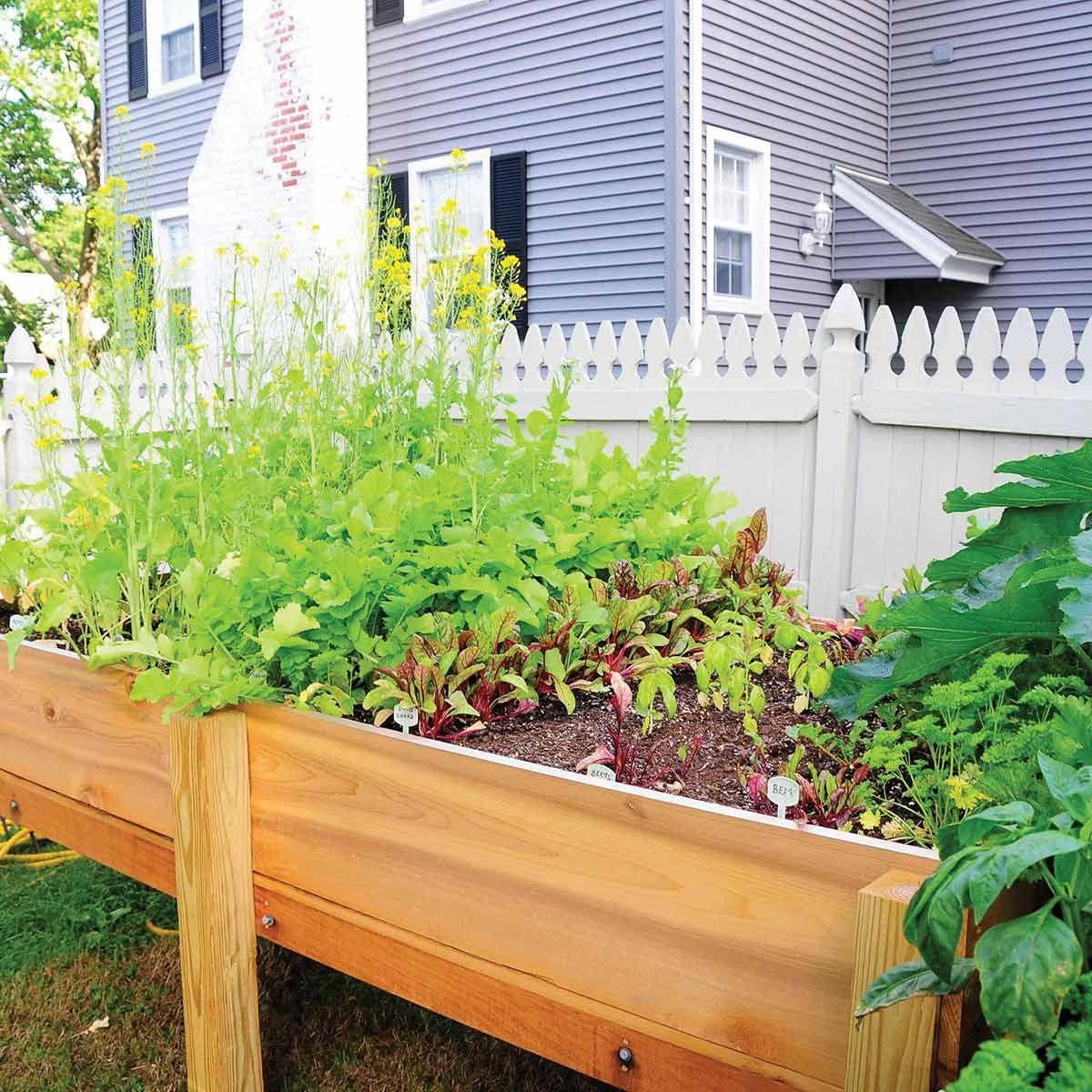 Reader Project: Elevated Vegetable Garden Planter -   16 elevated raised garden
 ideas