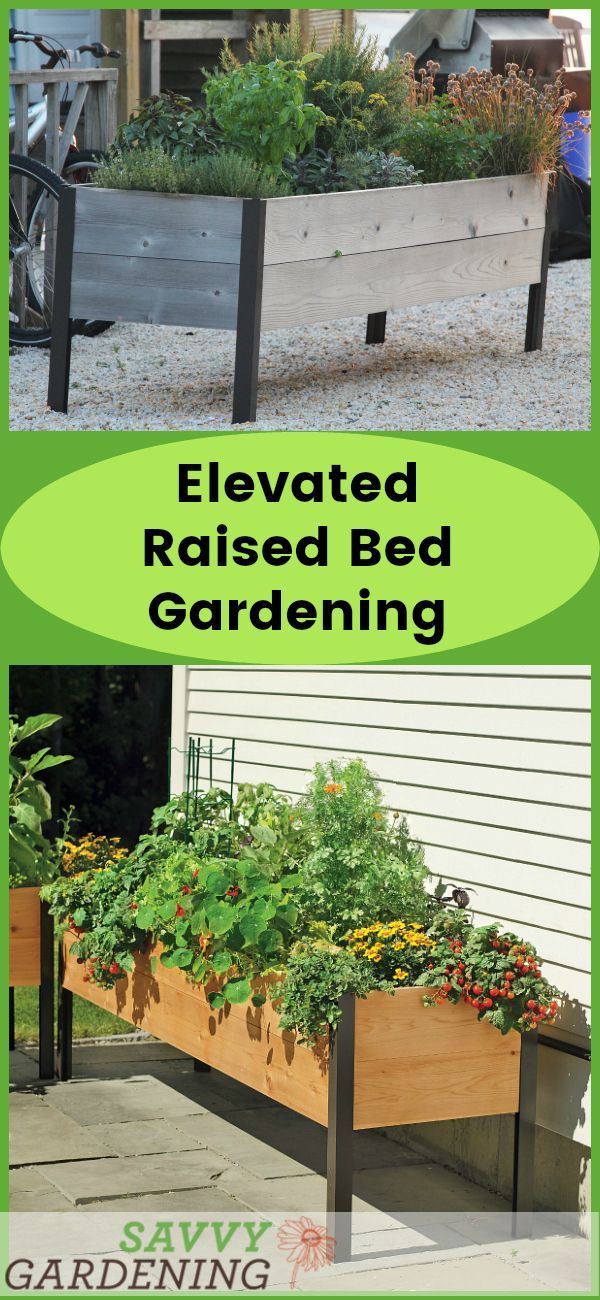 Elevated Raised Bed Gardening: The Easiest Way to Grow! -   16 elevated raised garden
 ideas