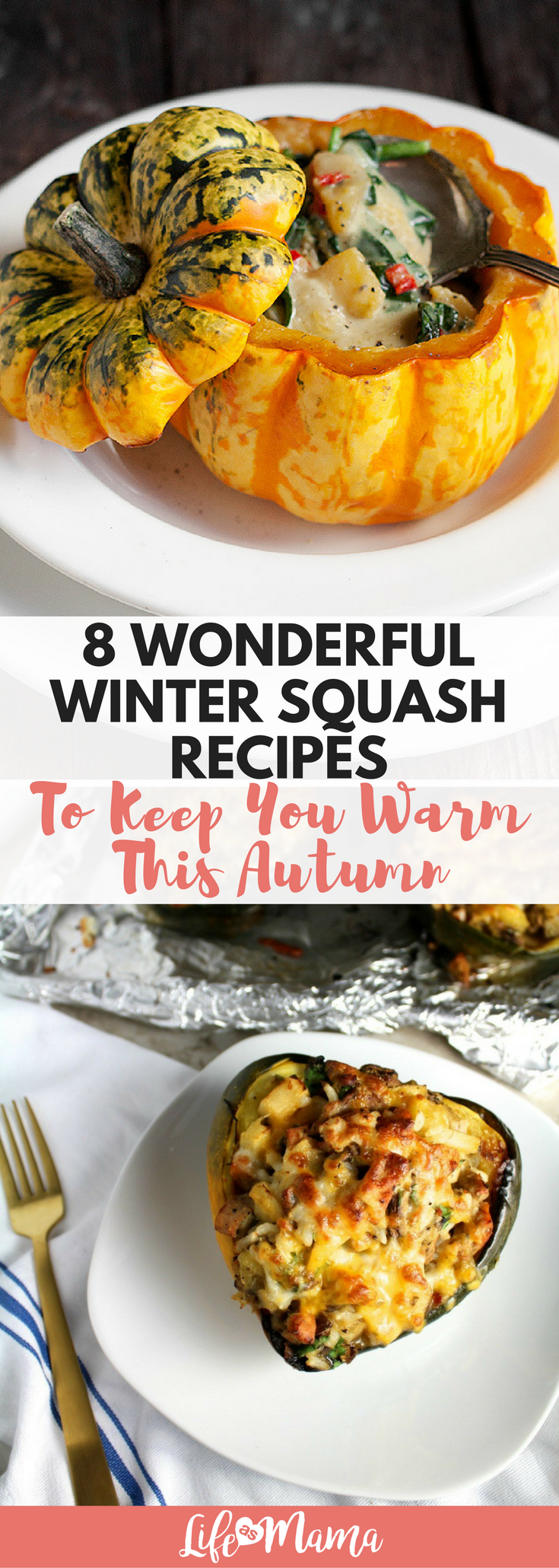8 Wonderful Winter Squash Recipes To Keep You Warm This Autumn -   17 carnival squash recipes
 ideas