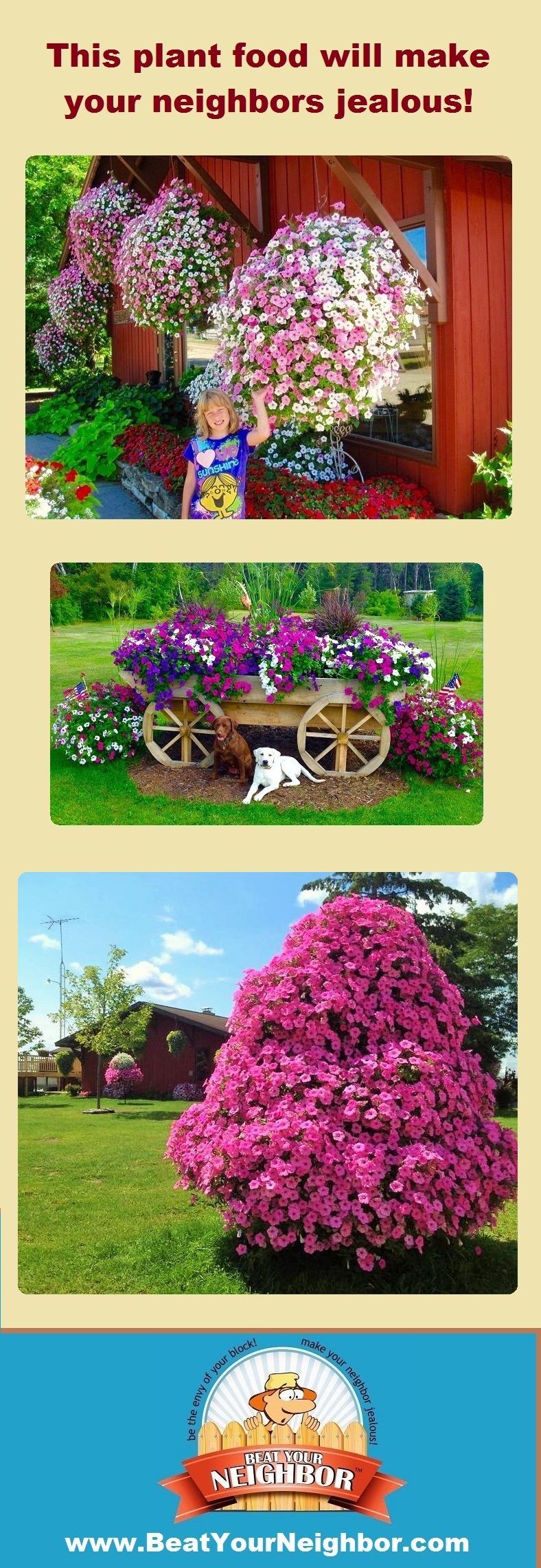 If you want huge flowers this year, you need to check out www.BeatYourNeighbor.com -   17 garden design Stones walks
 ideas