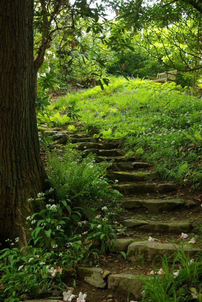 24 Woodland Garden Design -   17 garden design Stones walks
 ideas