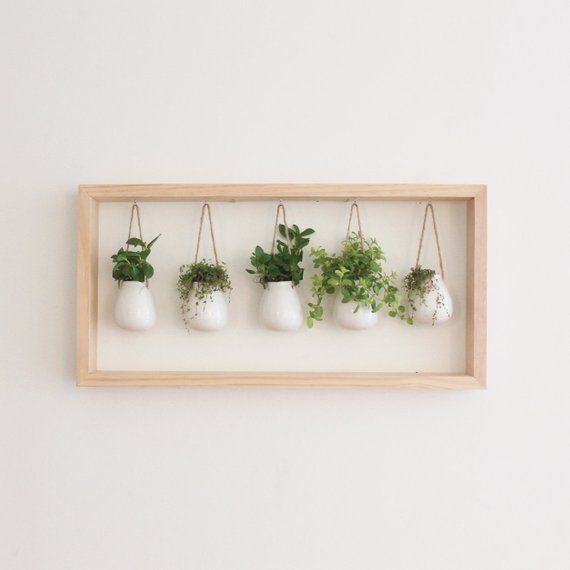 Indoor Herb Garden in Wooden Frame | Wall Mount Planter | Living Plant Wall | White Ceramic Pots | Hanging Planter | Botanical Wall Art -   18 plants Bathroom offices
 ideas