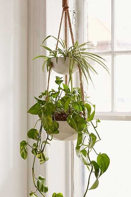 Metal Circle Hanging Planter -   18 plants Bathroom offices
 ideas