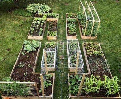 19 garden design Plants raised beds
 ideas