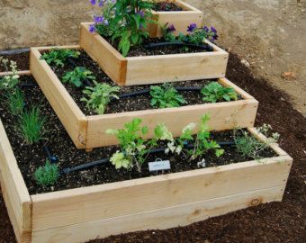 19 garden design Plants raised beds
 ideas