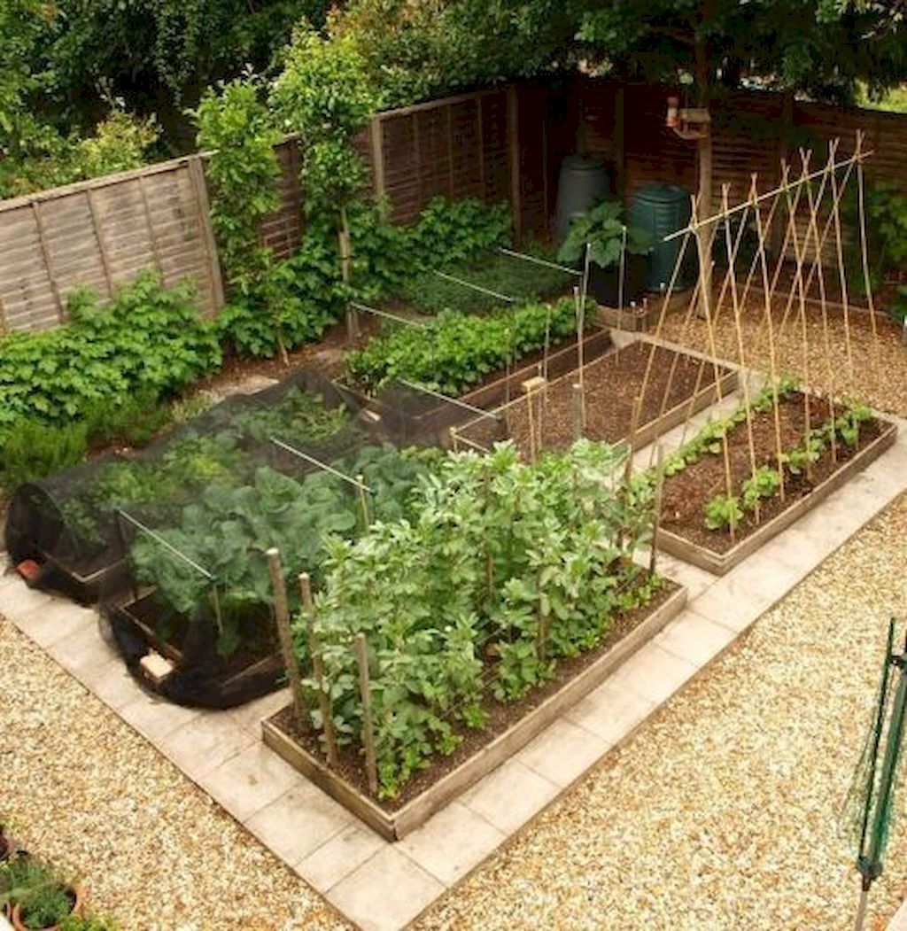 55 DIY Raised Garden Bed Plans & Ideas You Can Build -   19 garden design Plants raised beds
 ideas