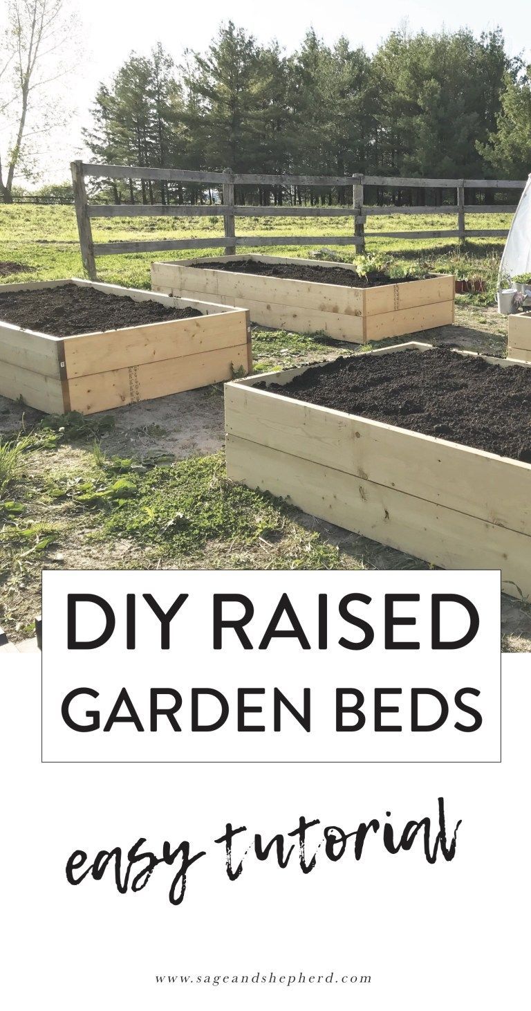 How to Build Raised Garden Beds - An Easy DIY -   19 garden design Plants raised beds
 ideas