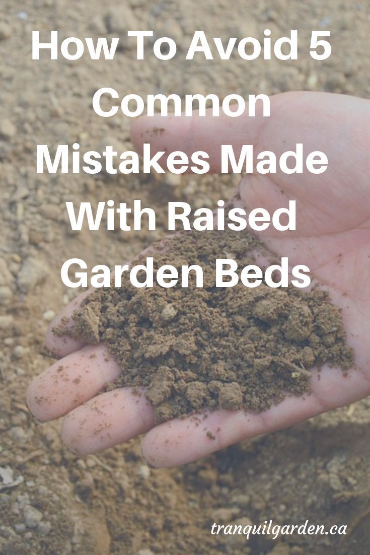 How To Avoid 5 Common Mistakes Made With Raised Garden Beds -   19 garden design Plants raised beds
 ideas