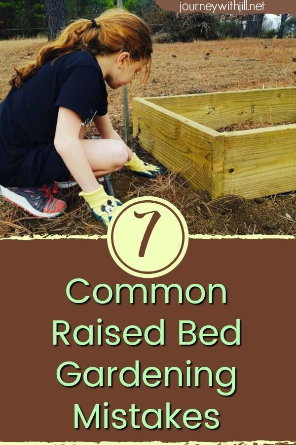 7 Common Mistakes in Raised Bed Gardening -   19 garden design Plants raised beds
 ideas