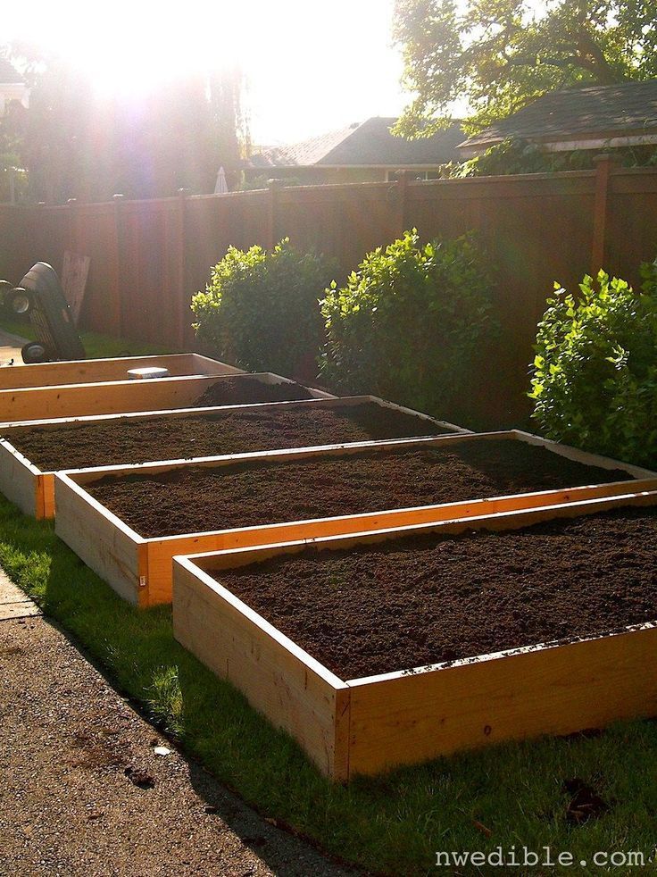How to Build a Simple Raised Bed -   19 garden design Plants raised beds
 ideas