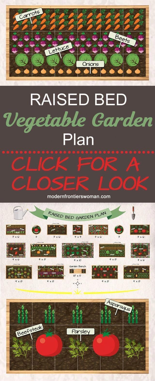 Raised Bed Vegetable Garden Plan -   19 garden design Plants raised beds
 ideas