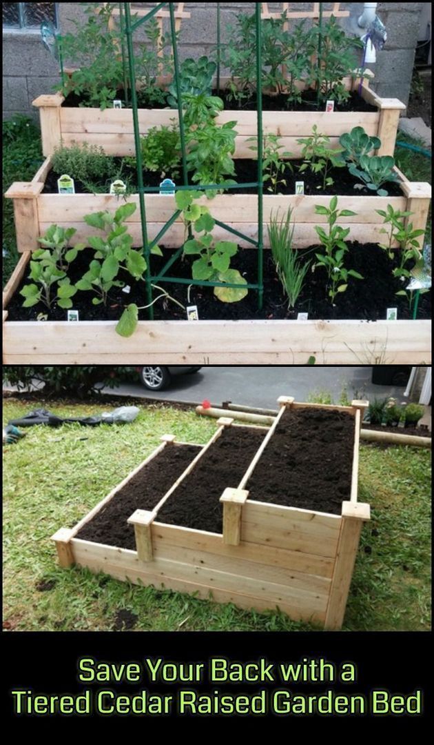 25+ Smart Ways to Raised Vegetable Garden -   19 garden design Plants raised beds
 ideas