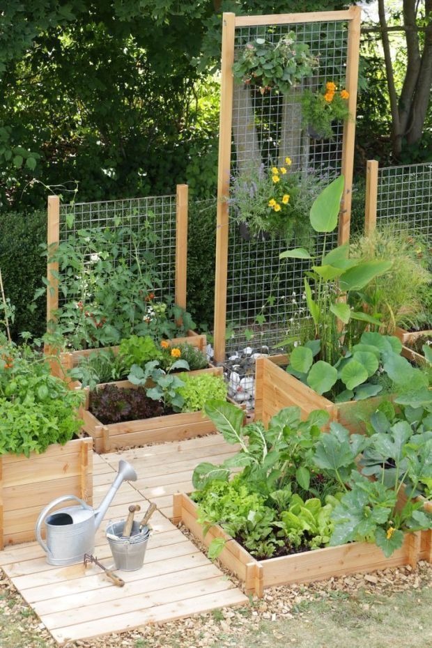 10 Ways to Style Your Very Own Vegetable Garden -   22 backyard garden trellis
 ideas