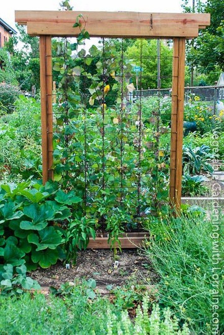 35 Easy DIY Garden Trellis Ideas (18) -   22 backyard garden trellis
 ideas