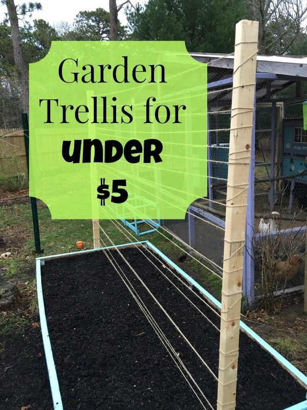 Raised Bed Trellis for Under $5 -   22 backyard garden trellis
 ideas