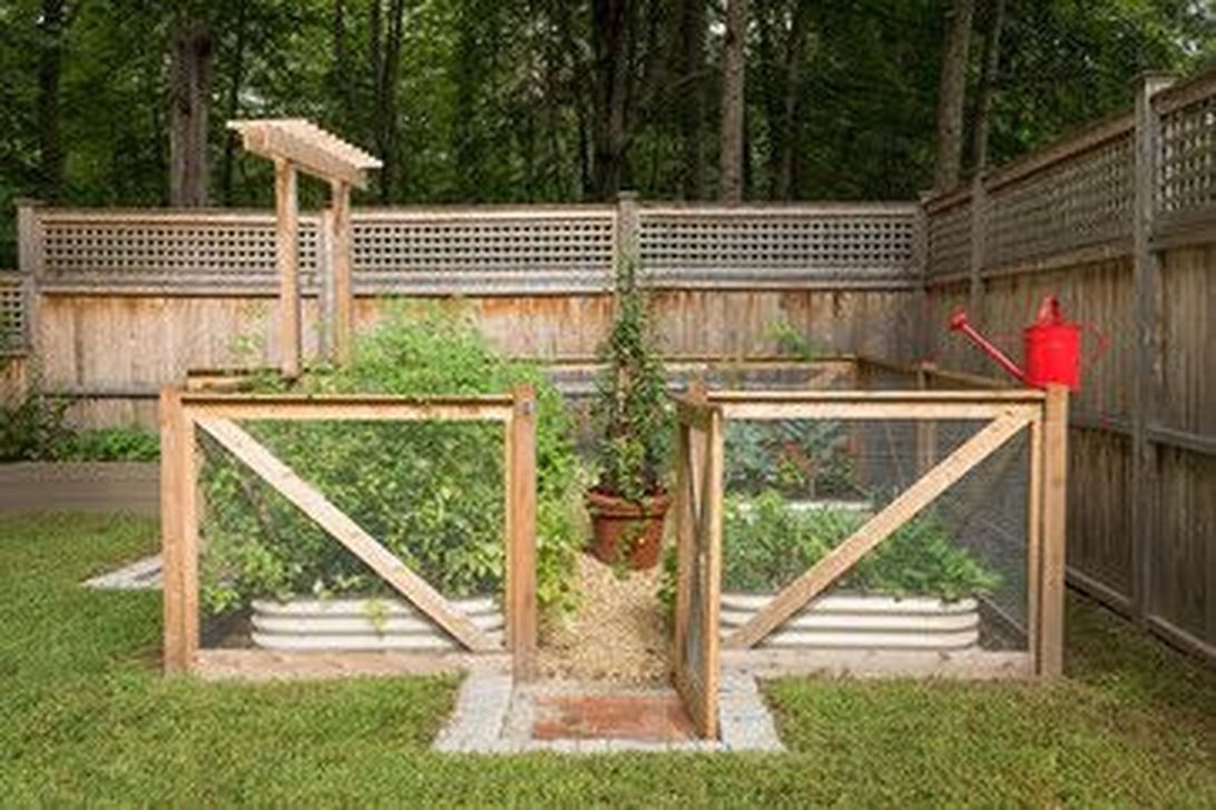 50 Cute Backyard Garden Ideas -   22 backyard garden trellis
 ideas