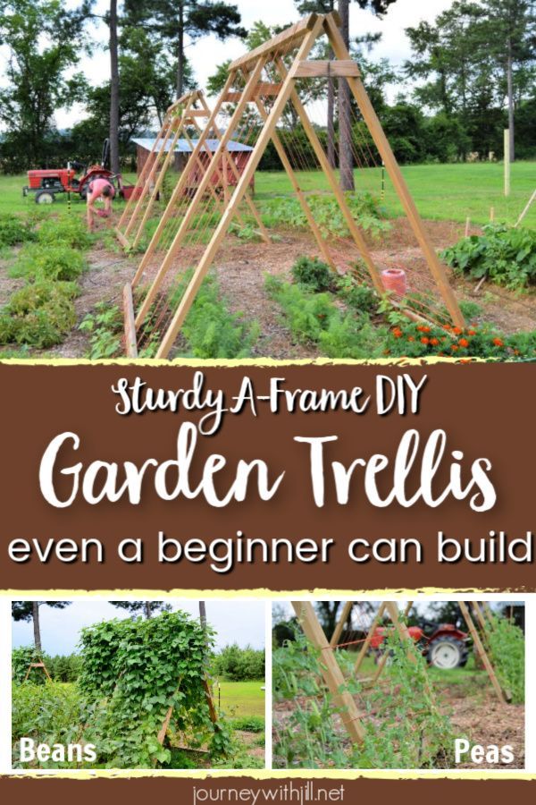How to Build an A-Frame Garden Trellis -   22 backyard garden trellis
 ideas