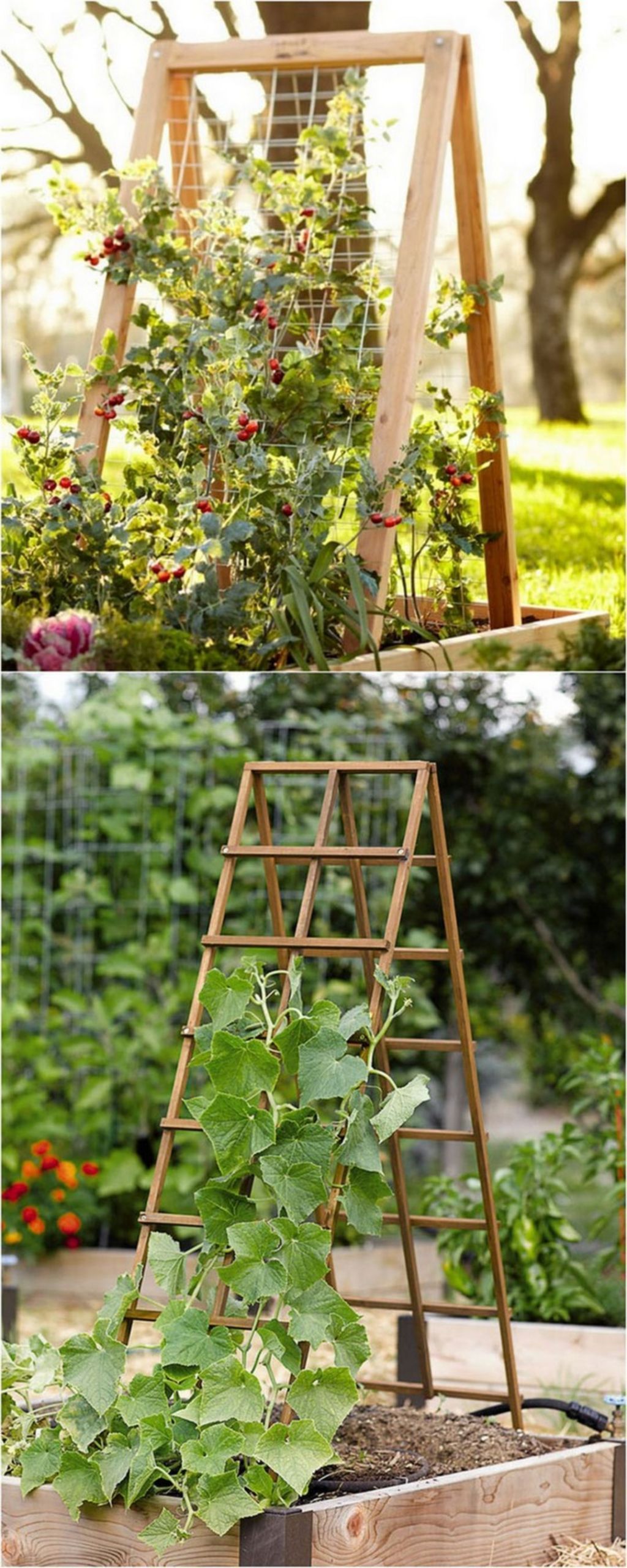 10 Easy DIY Garden Trellis Design Ideas For Vertical Growth Garden -   22 backyard garden trellis
 ideas
