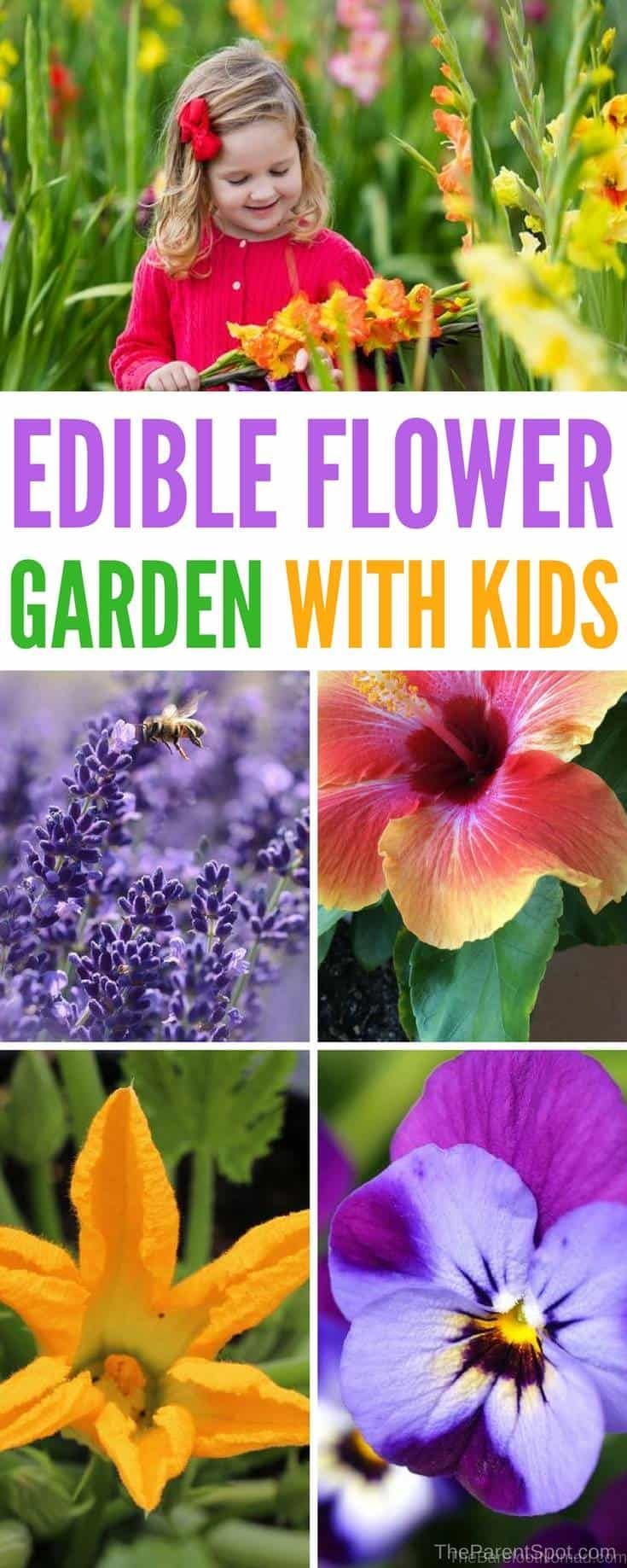 Growing An Edible Flower Garden For Kids -   23 garden kids landscapes
 ideas