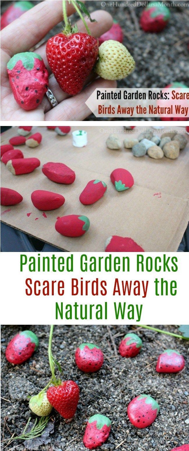 Painted Garden Rocks: Scare Birds Away the Natural Way -   23 garden kids landscapes
 ideas