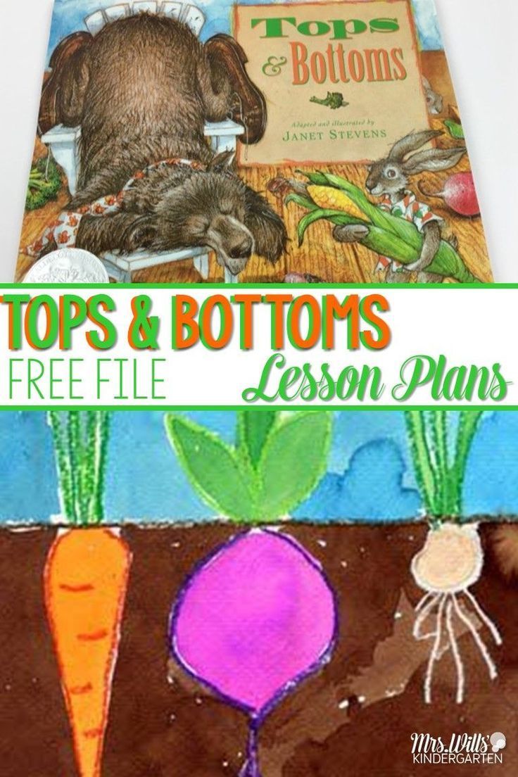 Tops and Bottoms with a FREE FILE! -   24 plants Teaching fun
 ideas