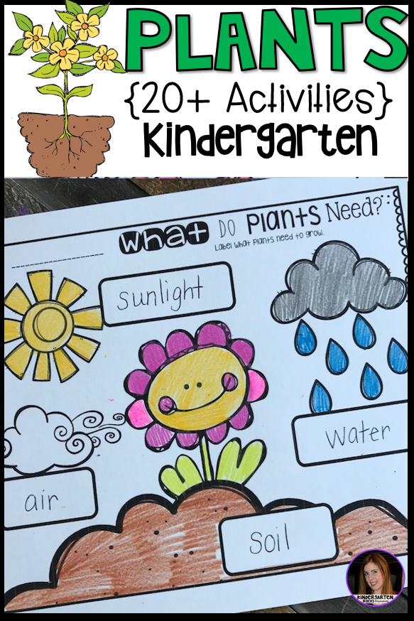 Plant Activities, Writing Crafts, Science Lessons and Centers for Kindergarten (20+) -   24 plants Teaching fun
 ideas