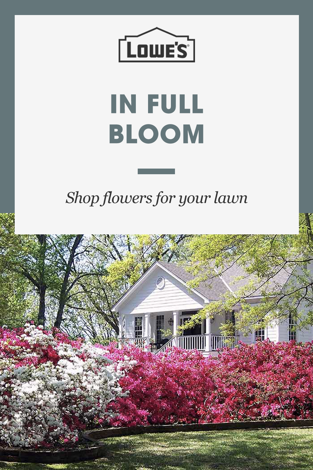 Give your front lawn a spring refresh with gardening and landscaping must-haves at Lowe’s. Shop plants, bulbs, seeds fertilizer and more. -   8 planting Photography blossoms
 ideas