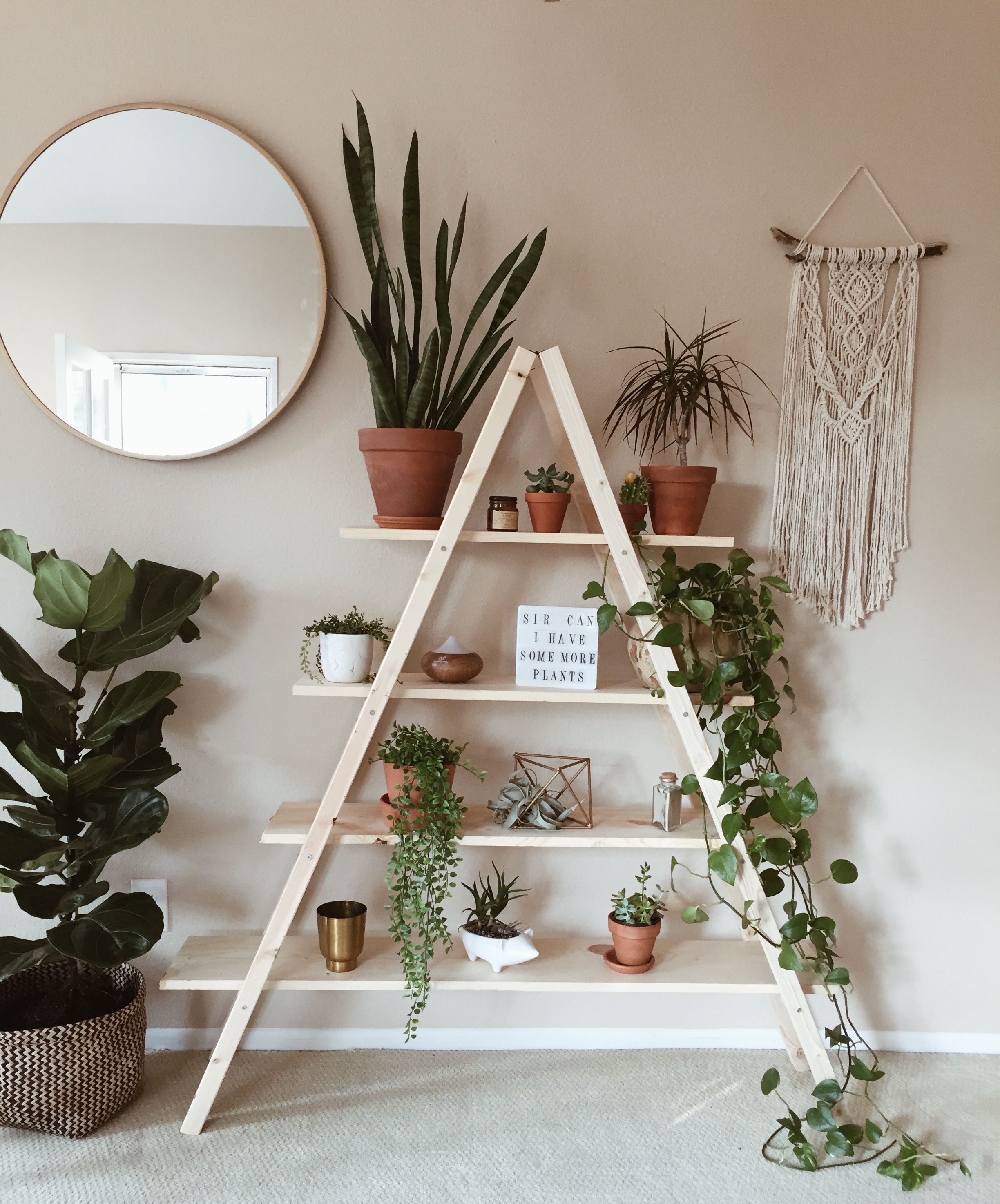11 plants Room decor
 ideas