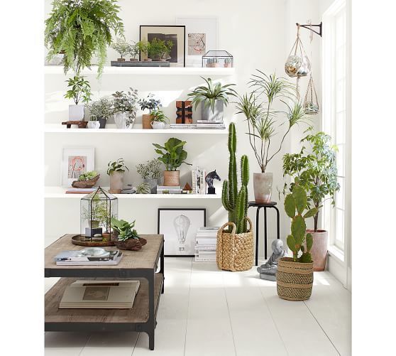 Faux Potted Greater Burdock Houseplant -   11 plants Room decor
 ideas