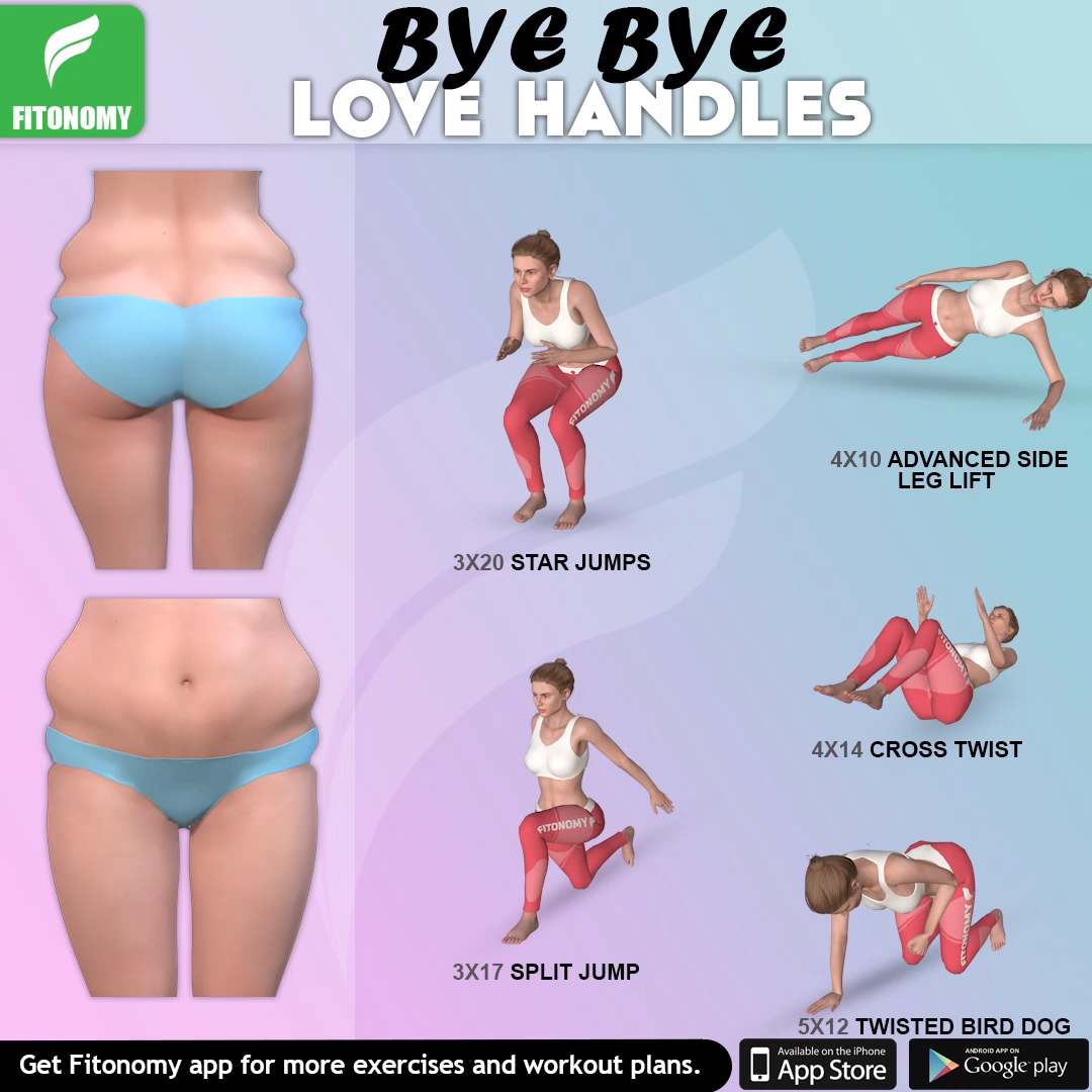 Bye Bye Love handles -   12 fitness Routine bye bye
 ideas