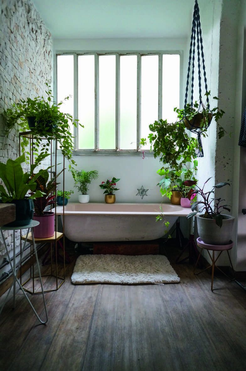 Feel Inspired By These Bathroom Tile Trends For 2019 -   14 plants Bathroom no light
 ideas