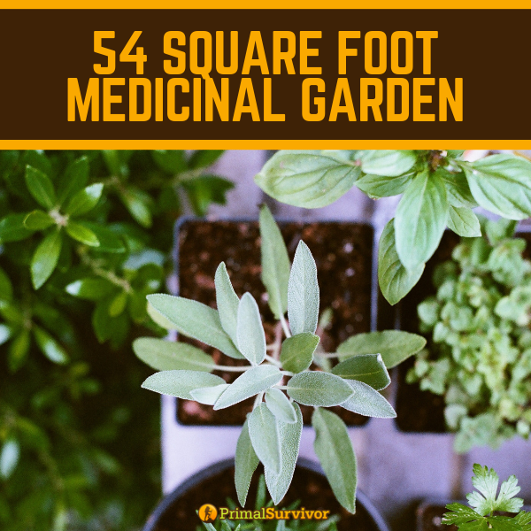 54 Square Foot Medicinal Garden Plan -   16 garden design Drawing raised beds
 ideas
