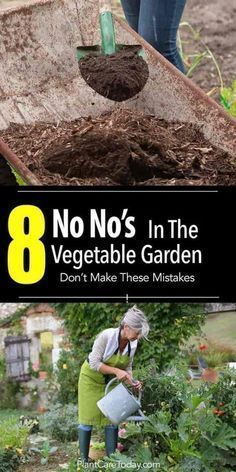 8 No No's In The Vegetable Garden -   16 garden design Drawing raised beds
 ideas