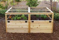 3' x 6' Raised Garden Bed With Hinged Fencing and Trellis -   16 garden design Drawing raised beds
 ideas