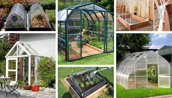 Small greenhouse ideas in the garden and the yard, 63 great ideas for those who love early vegetables and flowers -   16 garden design Small greenhouses ideas