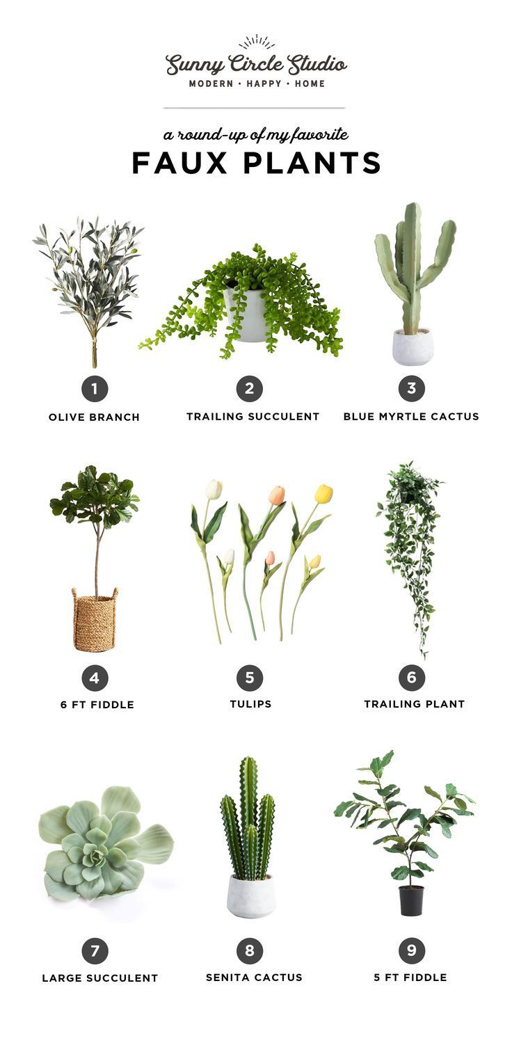 9 amazing faux plants that could pass for the real thing -   17 plants Decorating products
 ideas
