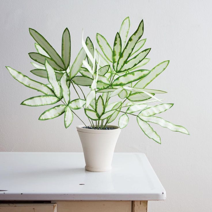 Life-Sized Paper Plants are Beaming Beauties That Look Like the Real Thing -   17 plants Decorating products
 ideas